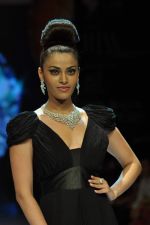 Model walks the ramp for Dynamic International Show at IIJW Day 1 on 19th Aug 2012  (38).JPG